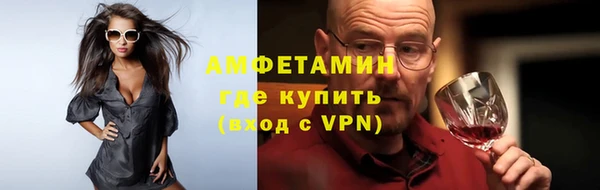 индика Бородино