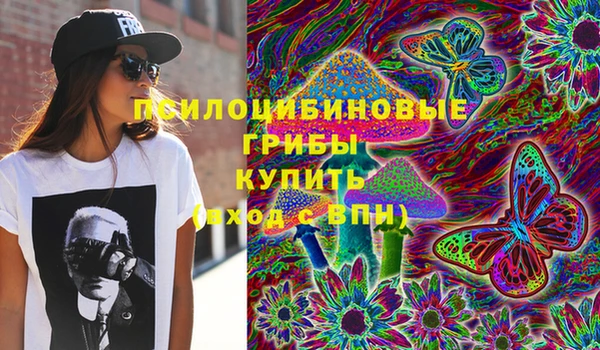 герыч Богородск