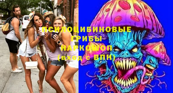 таблы Богданович