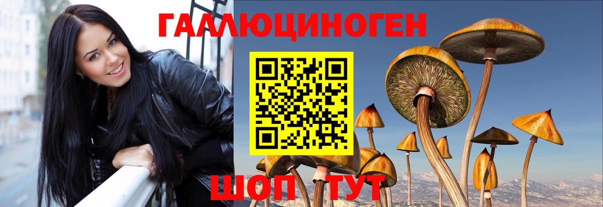 Галлюциногенные грибы MAGIC MUSHROOMS Вязники
