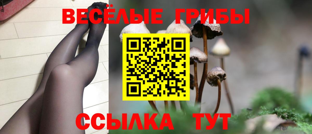 Псилоцибиновые грибы MAGIC MUSHROOMS  Вязники  Галлюциногенные грибы MAGIC MUSHROOMS 